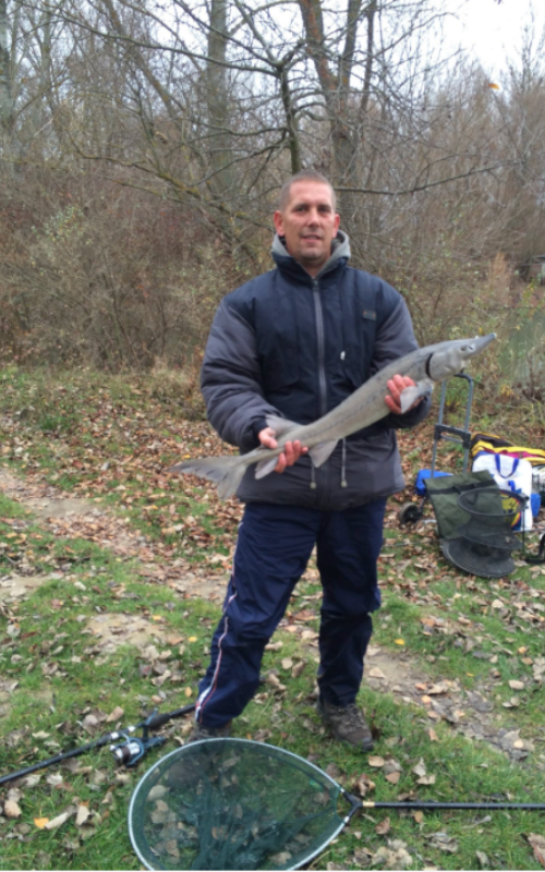 placeholder image-sq