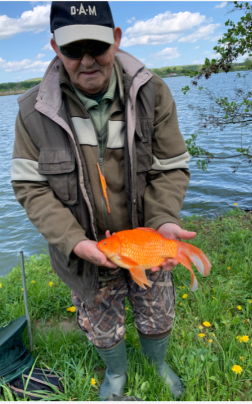 placeholder image-sq